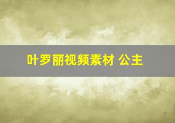 叶罗丽视频素材 公主